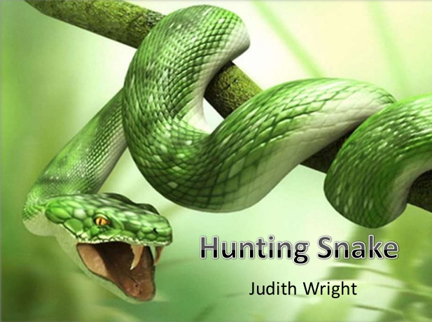 hunting snake, Hunting Snake – Judith Wright, 