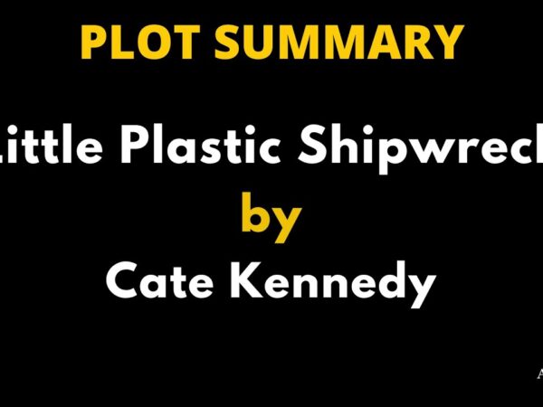 Little Plastic Shipwreck by Cate Kennedy