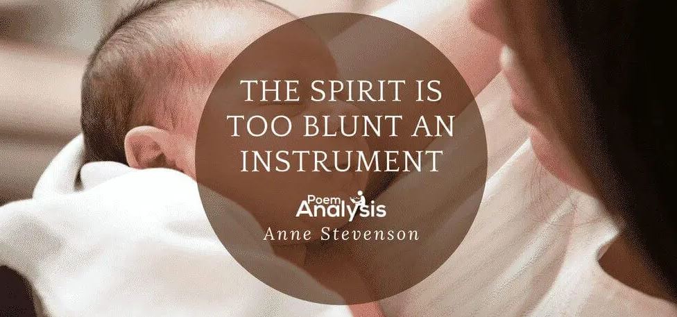 The Spirit is too Blunt an Instrument - Anne Stevenson
